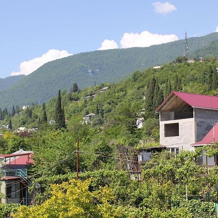 غاغرا Guest House Zvanba المظهر الخارجي الصورة